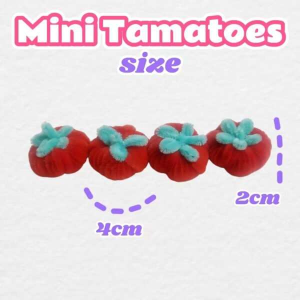 4pcs mini tomatoes